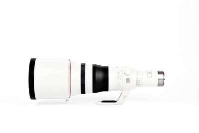 Canon RF 800mm f/5.6 L IS USM 