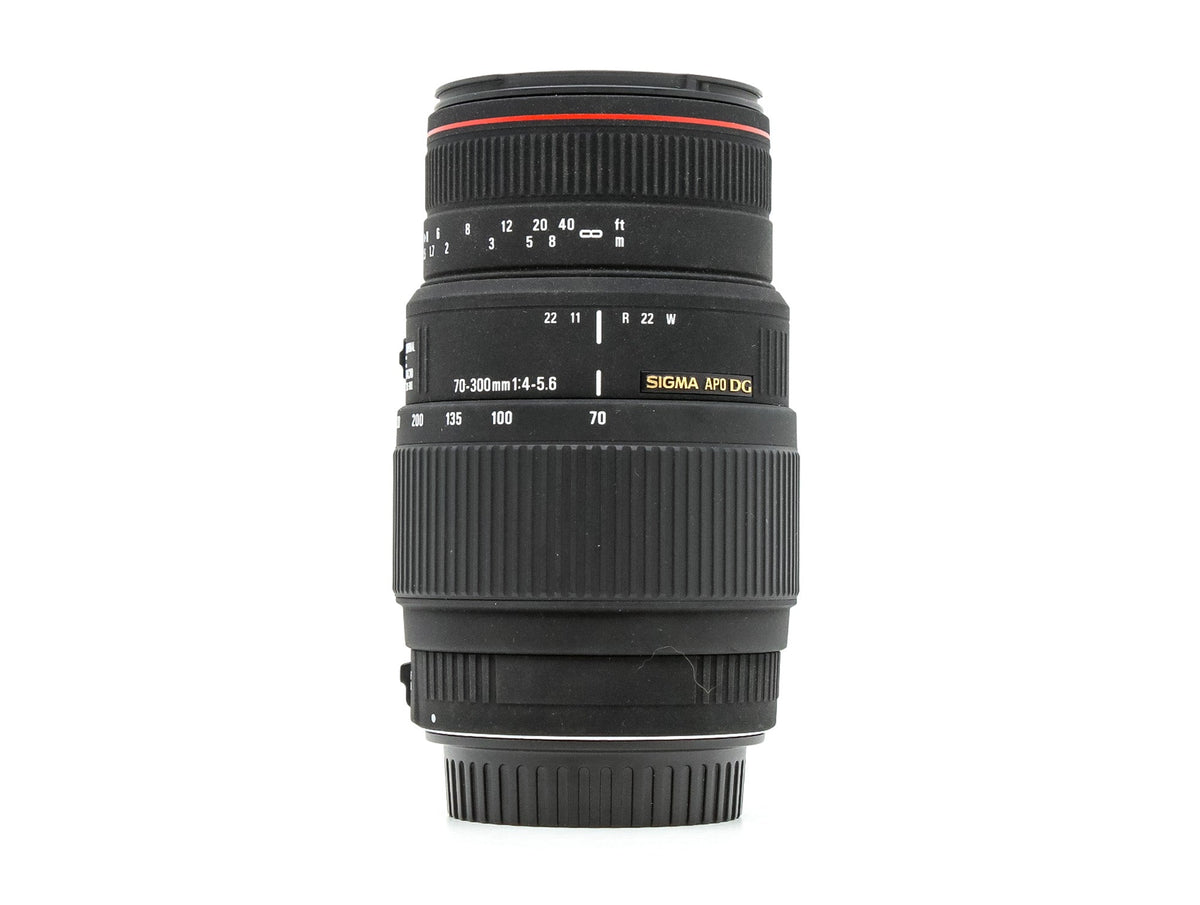 Sigma 70-300mm f/4-5.6 APO DG Macro - Canon EF Fit · imagen principal