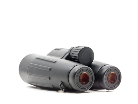 ZEISS Victory T* FL 10x56 Binoculars